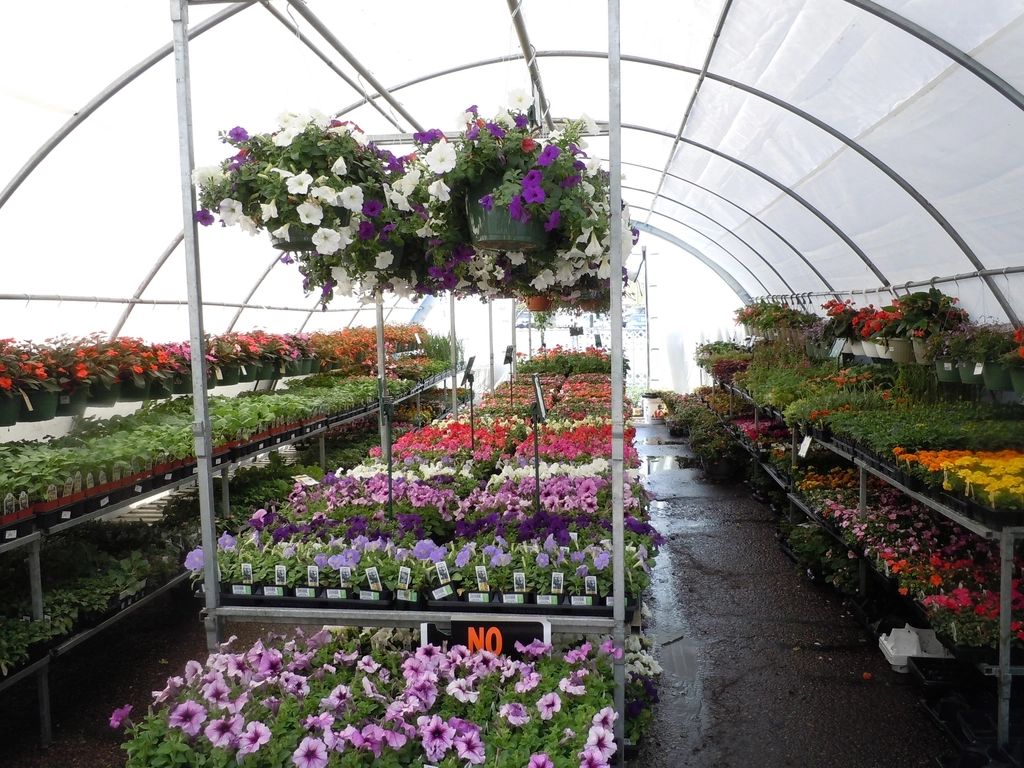 The planted gardens on the grounds